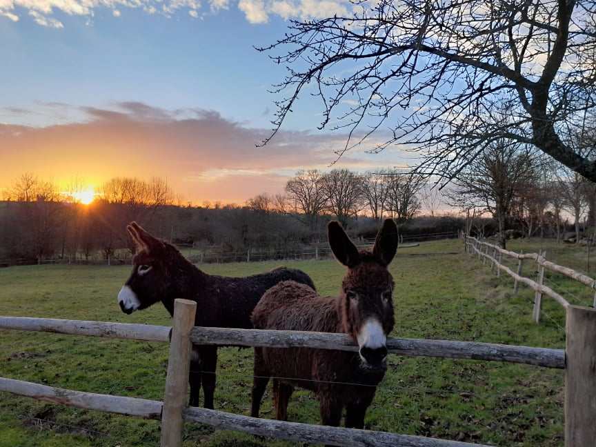 Gîte de pêche La Berlière