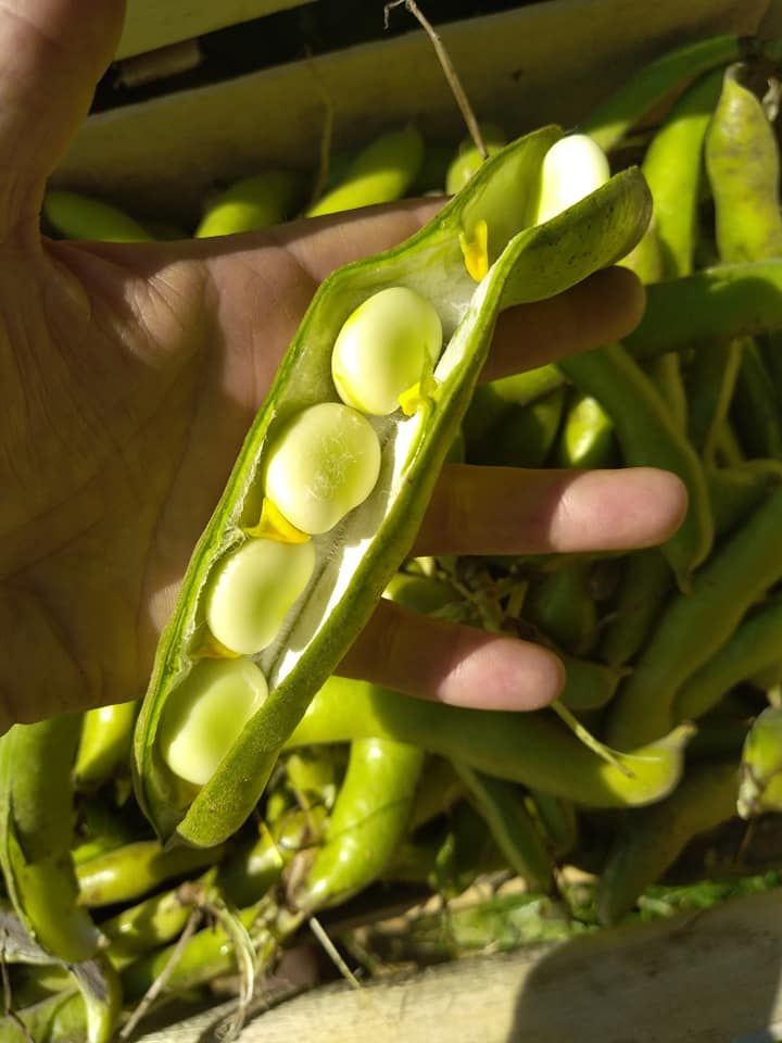 Les Jardins de la Bassetière