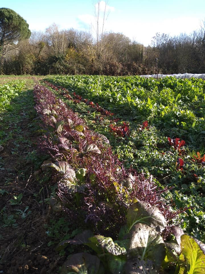 Les Jardins de la Bassetière