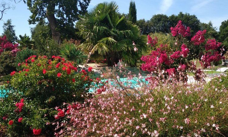 Verts Paysages