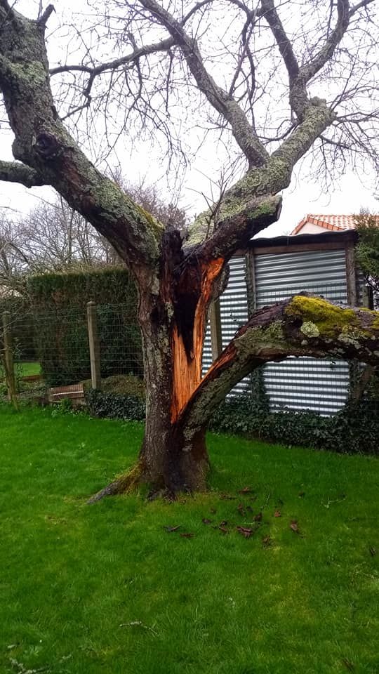 Arboré Passion
