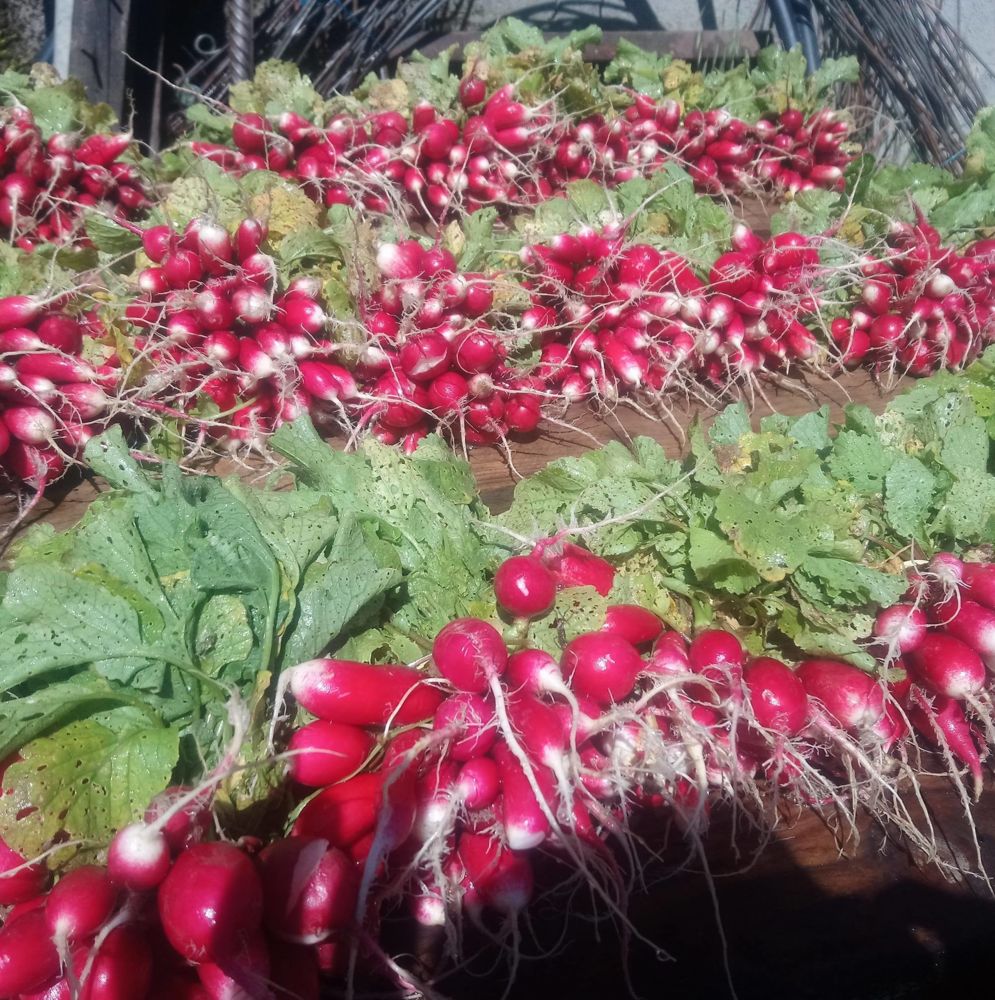 Les Jardins de la Bassetière