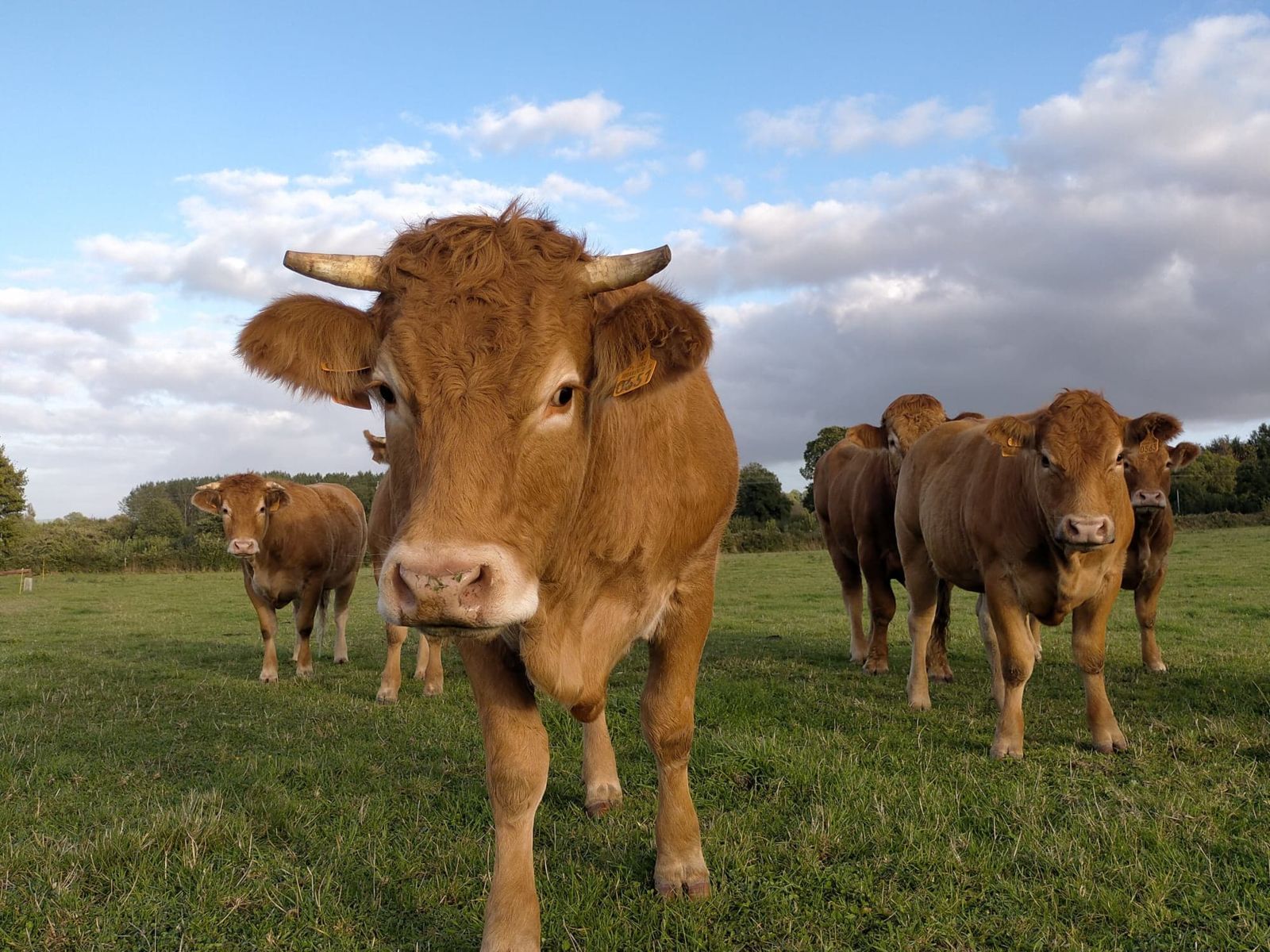 GAEC Ferme de l'âne arrosé