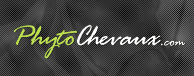 PhytoChevaux